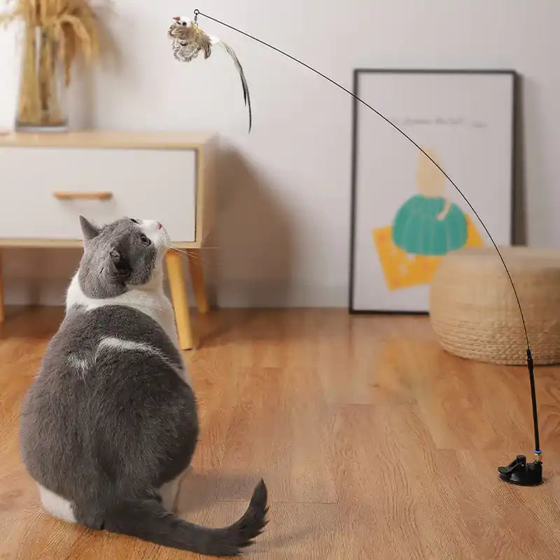 Grå och vit katt som sitter och tittar på ett leksaksfiskespö med en hängande leksaksmus.