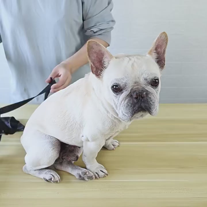 Non-slip dog shoes