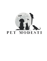 Pet Modesti