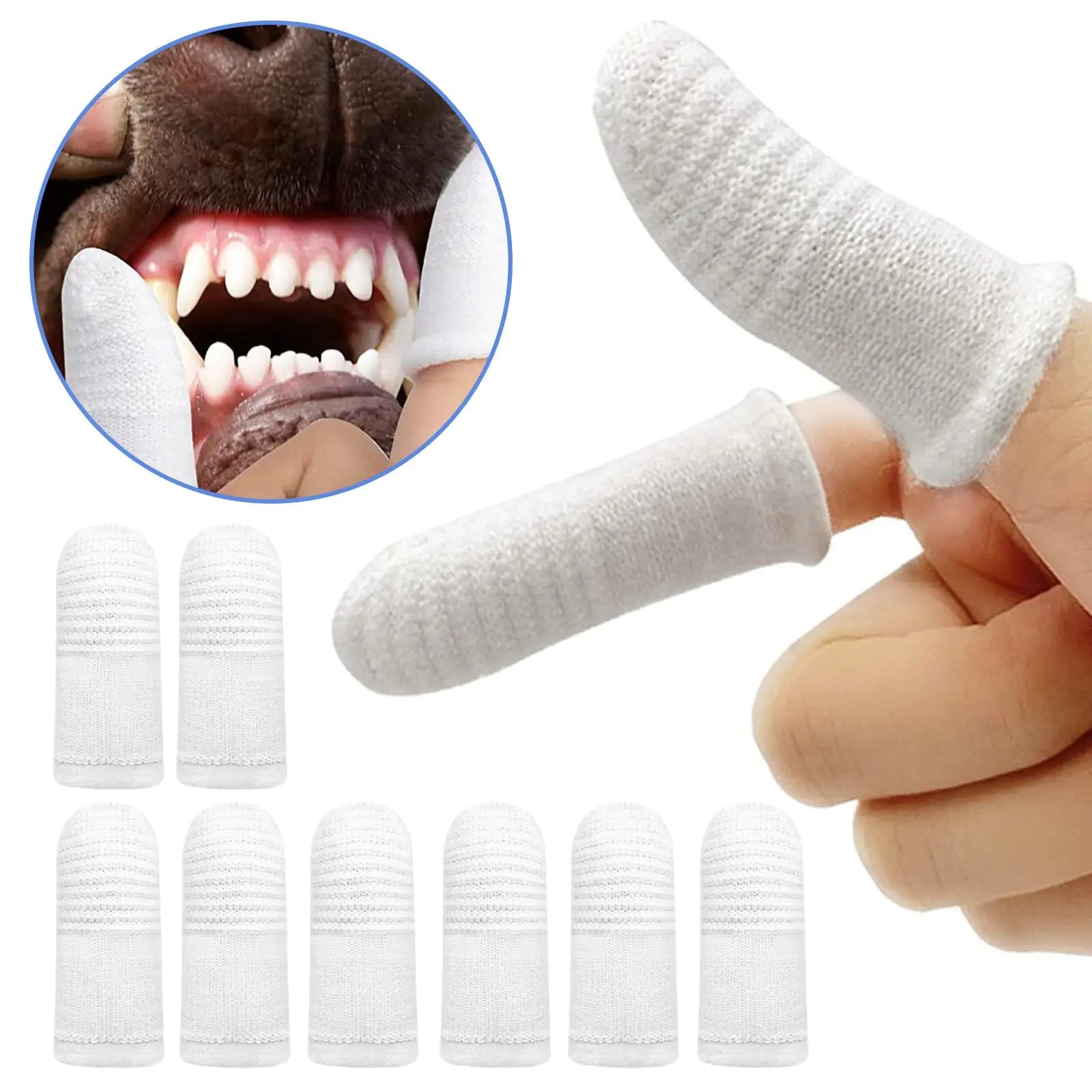 Clean Paw Finger Bristle - Pet Modesti