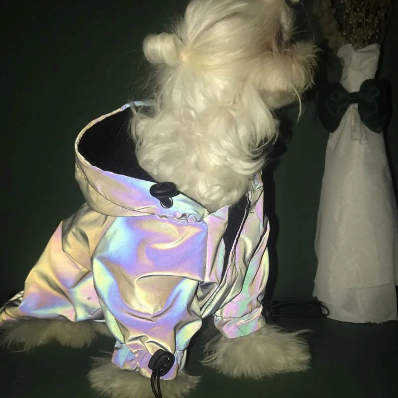 dog sweatshirts,
fleece hoodie dog,
fleece hoodies for dogs,
funny dog hoodie,
fleece hoodie dog,
fleece dog sweatshirt,
dog fleece sweater,
dogs hoodie,
Flashing Dog Hoodie