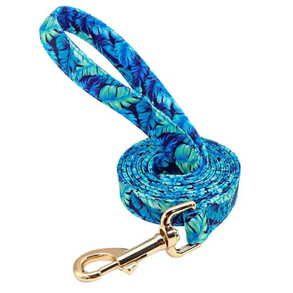 Hund halsband set - Blue Leash / Large