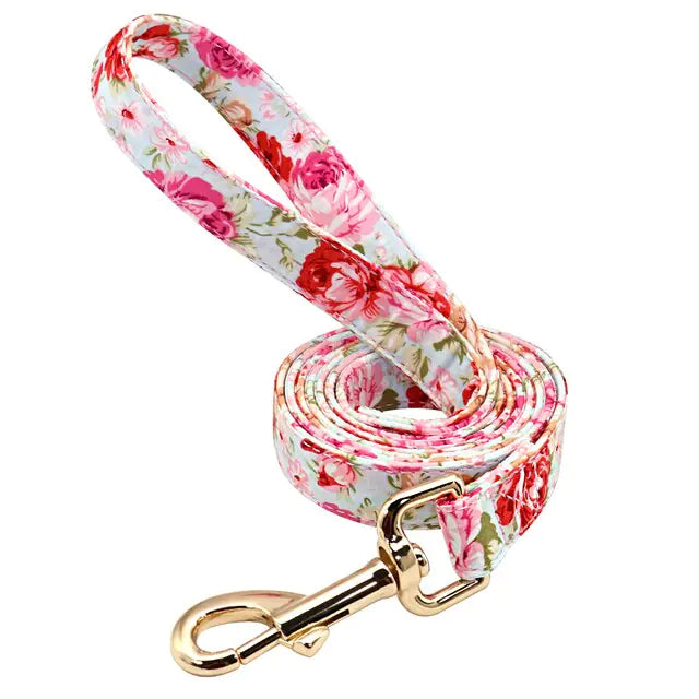 Hund halsband set - Pink Leash / Large