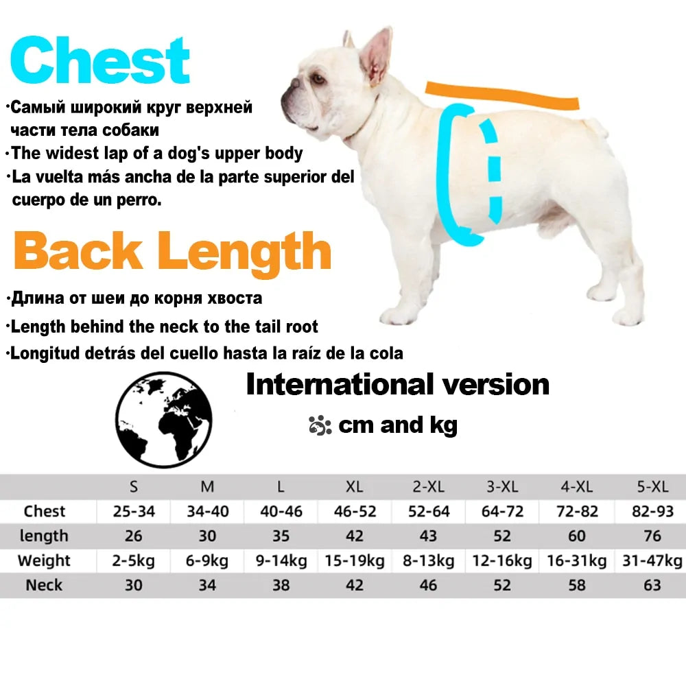 Hundjacka -  The dog face - Pet Modesti