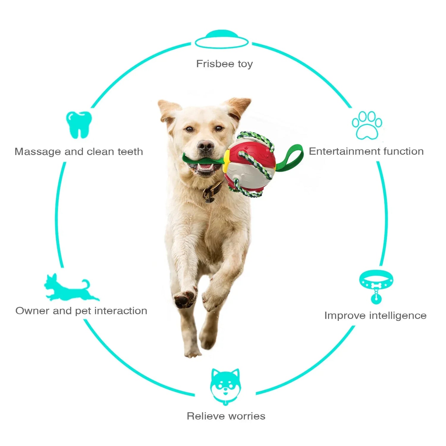 Interactive Dog Toy - Pet Modesti