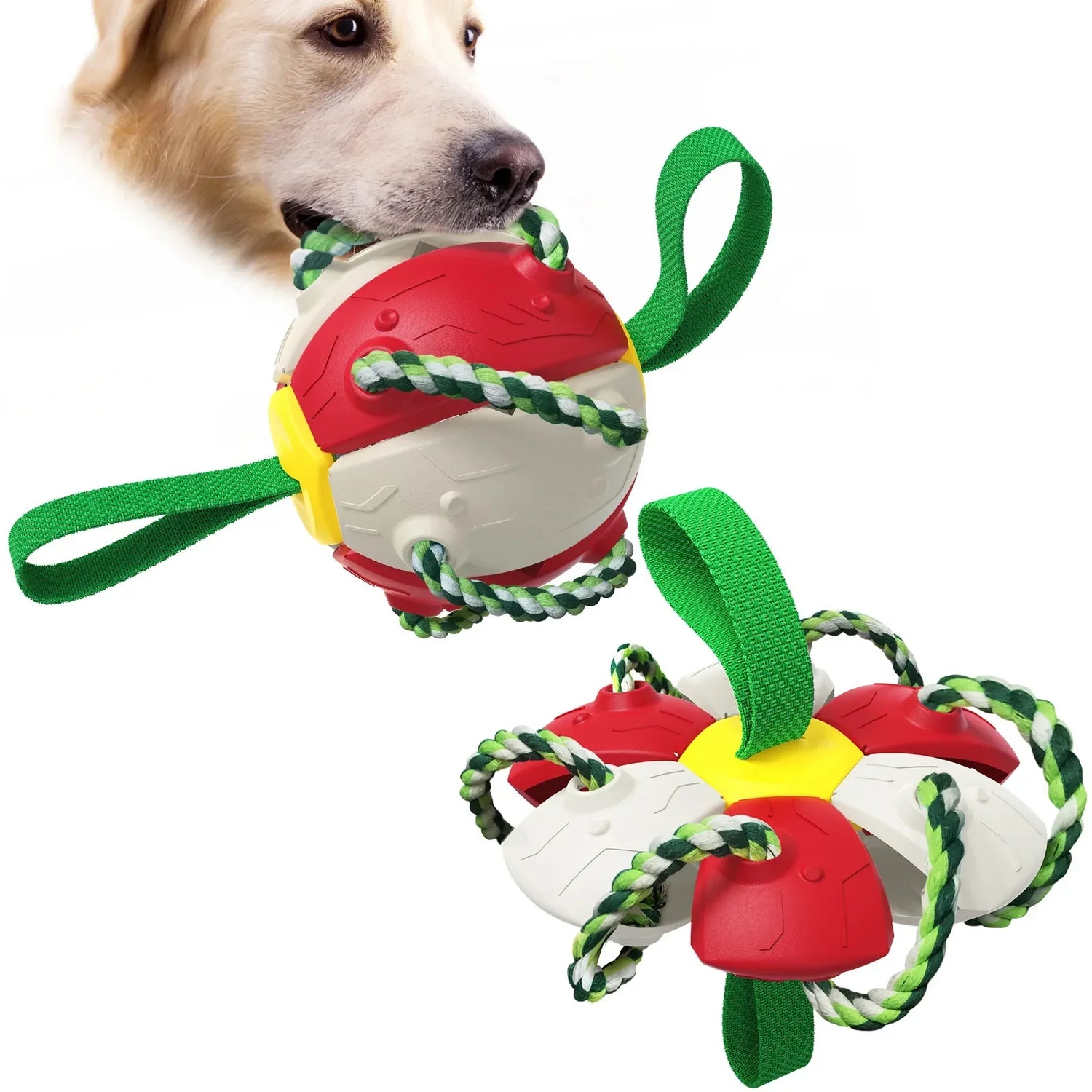 Interactive Dog Toy - Pet Modesti