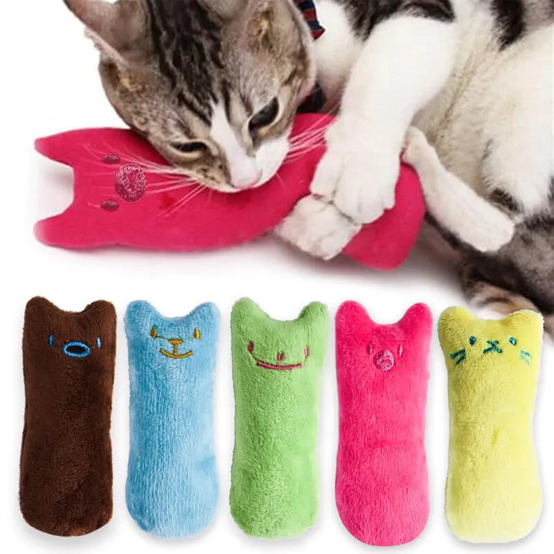 Catnip Toy for Cats - Pet Modesti