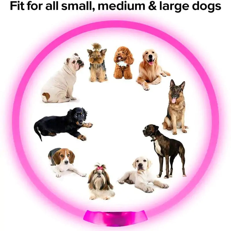 LED hundhalsband - 50cm - Pet Modesti