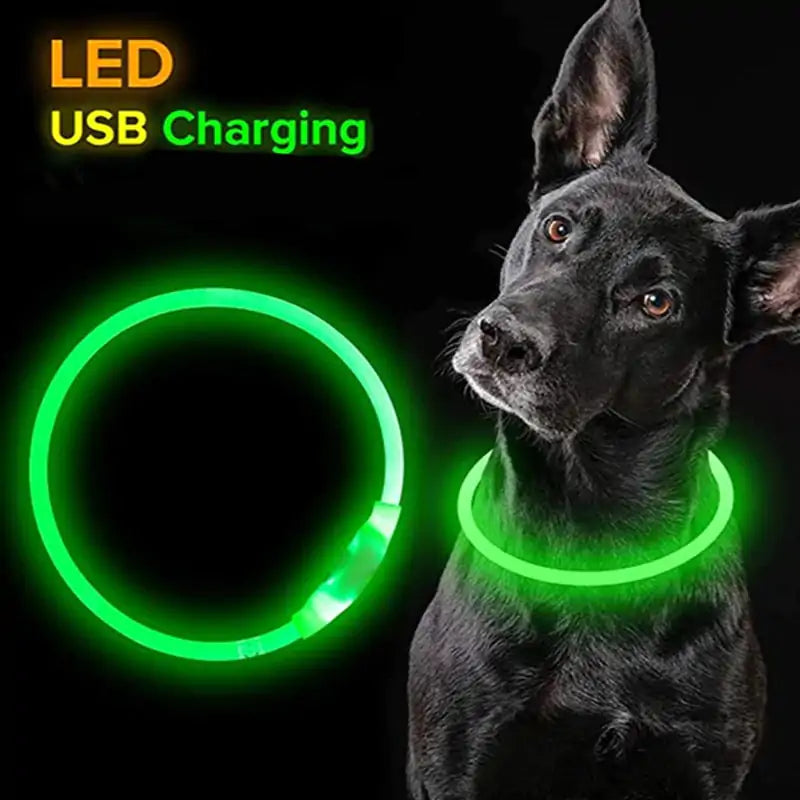 LED hundhalsband - 50cm - Pet Modesti